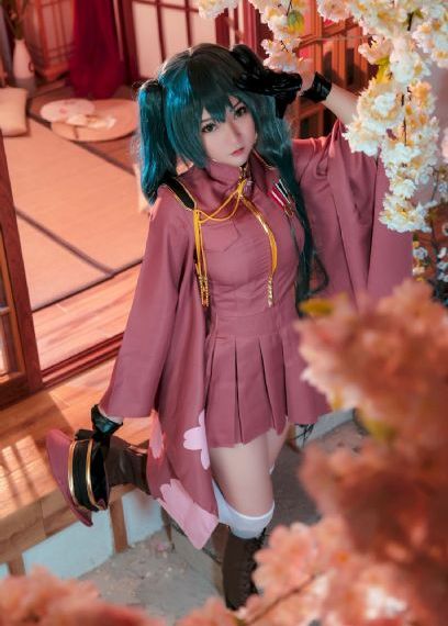 甲鱼
